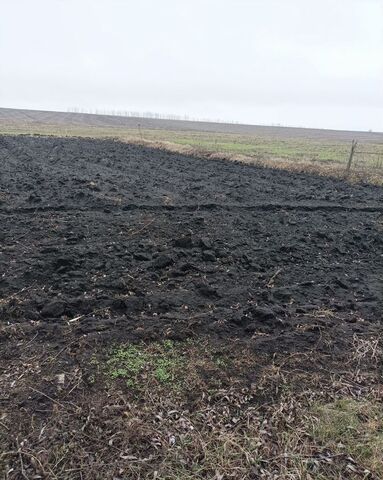 земля с Девица ул Орджоникидзе Девицкое сельское поселение фото