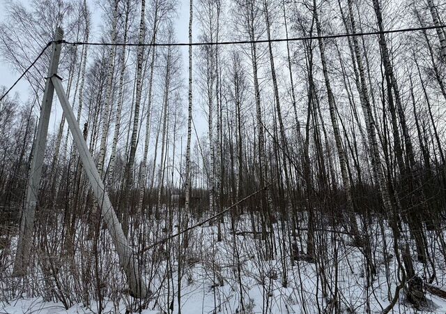 г Череповец р-н Зашекснинский фото