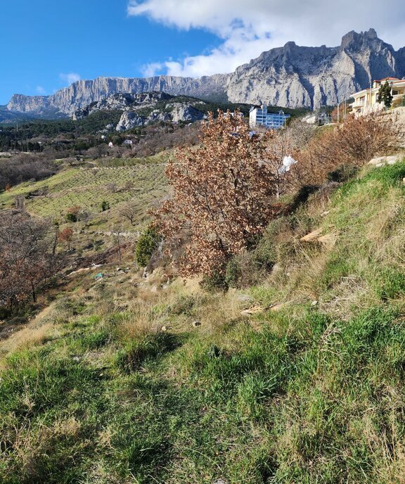 земля г Ялта пгт Гаспра Алупкинское шоссе, 68 фото 3