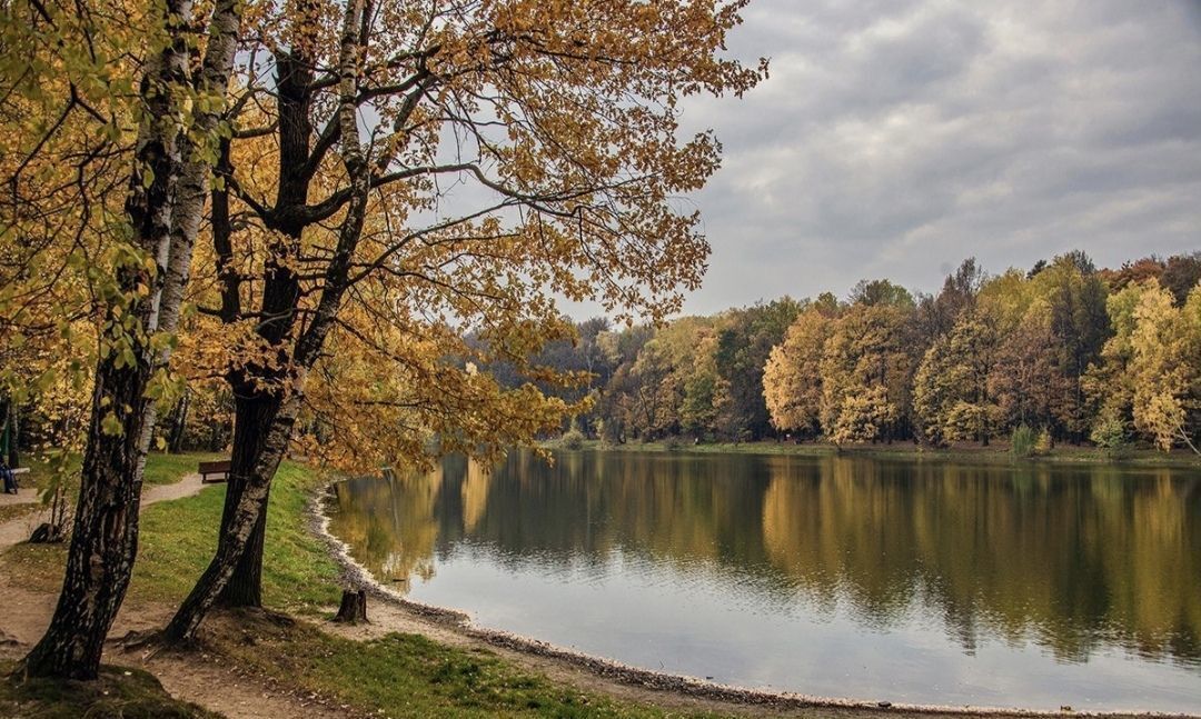 квартира г Москва метро Первомайская Большой Купавенский пр., 10 фото 7