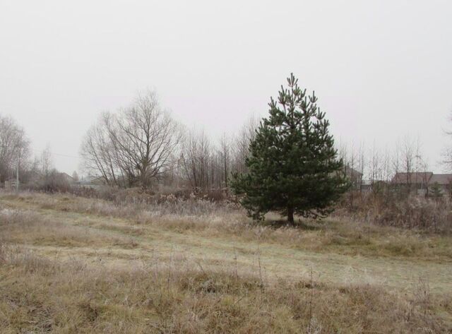 с Нижнее Хорошово Коломна городской округ фото