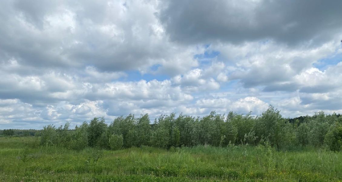 земля городской округ Дмитровский д Усть-Пристань фото 1