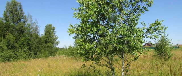 земля д Воскресенское фото