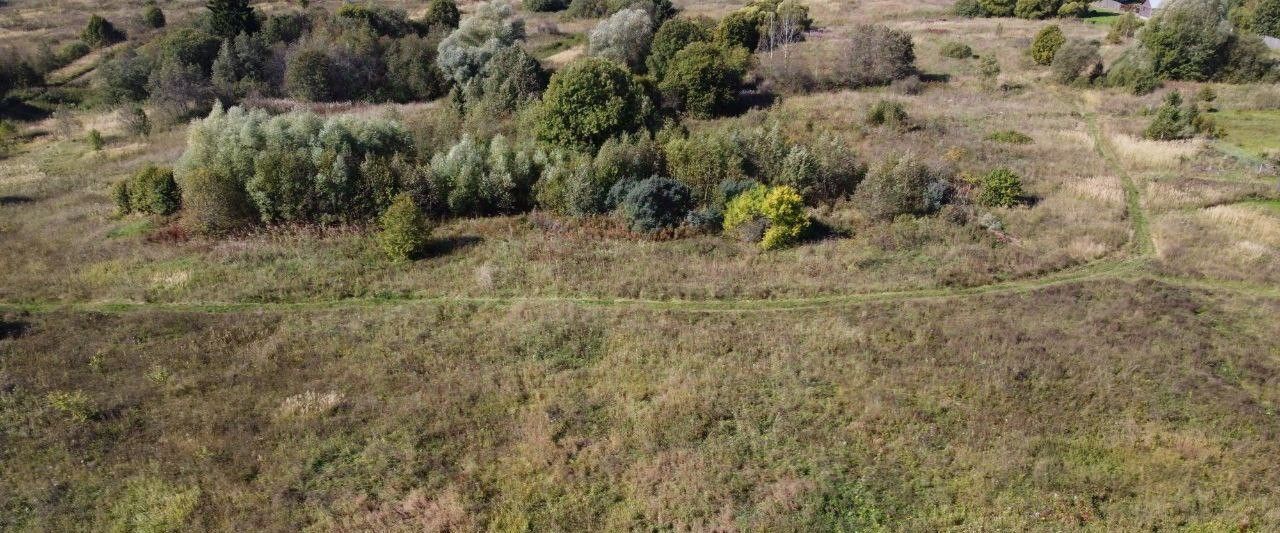 земля городской округ Волоколамский д Чернево фото 4