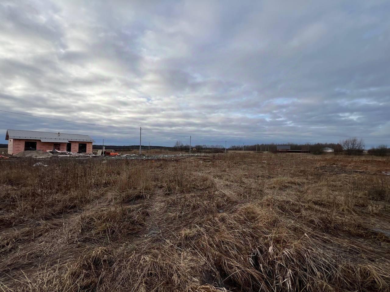 земля городской округ Орехово-Зуевский д Дровосеки Дачная тер фото 2