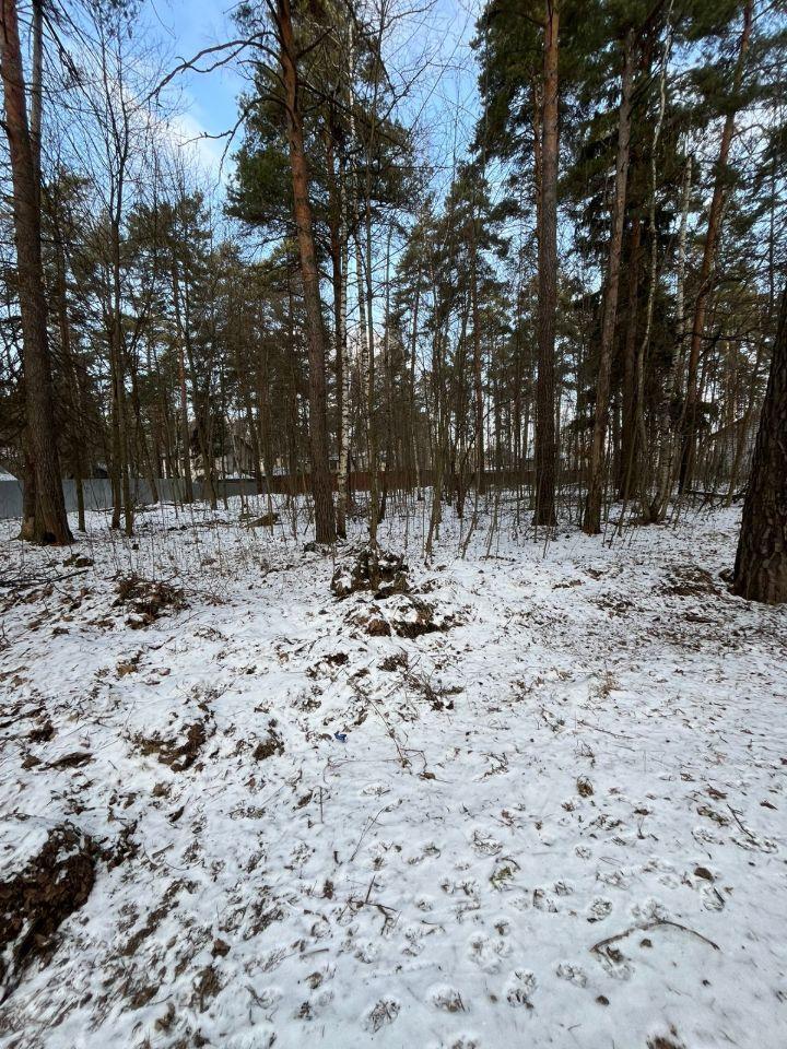 земля городской округ Пушкинский с Тарасовка снт Здоровье-2 ул Станционная фото 2