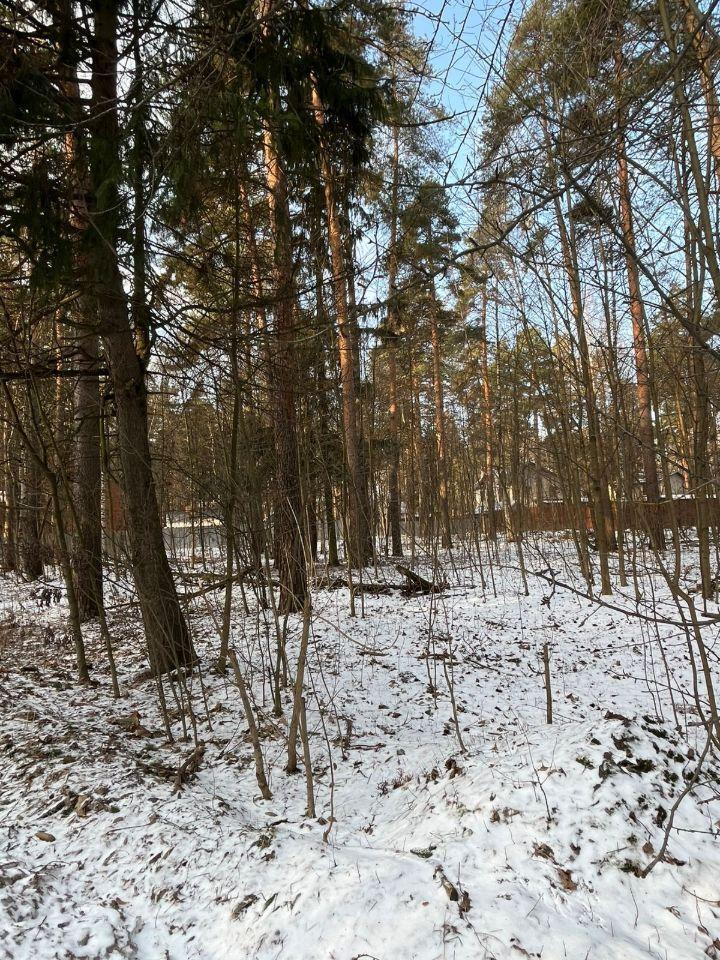 земля городской округ Пушкинский с Тарасовка снт Здоровье-2 ул Станционная фото 3