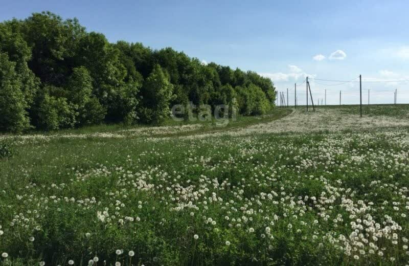 земля р-н Тукаевский д Кулушево Биюрганское сельское поселение фото 4