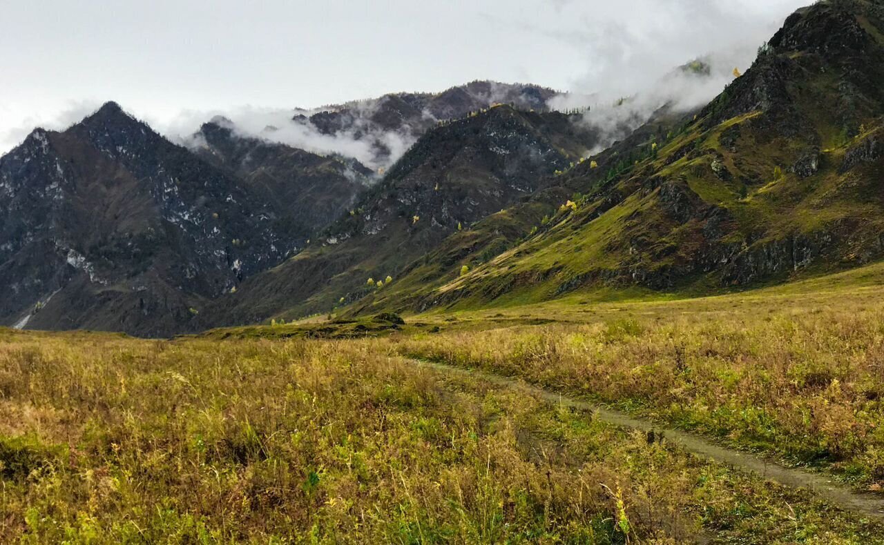 земля р-н Чемальский Ороктойский мост, Онгудай фото 6