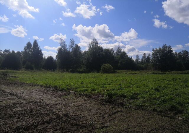 р-н Богородский д Малое Бедрино Богородск фото