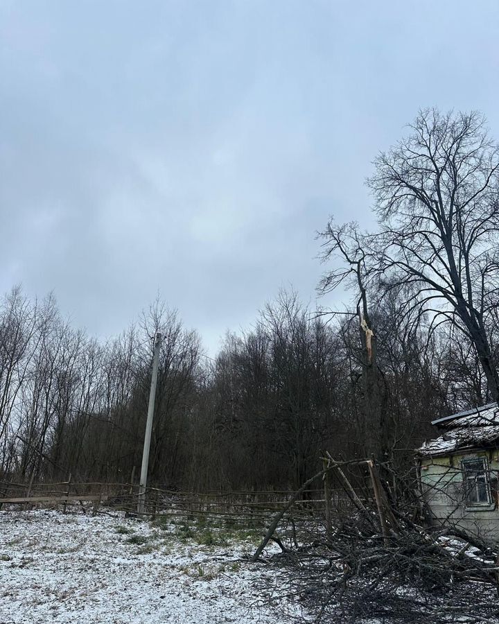 дом городской округ Зарайск д Чернево ул Лесная 24 111 км, Озёры, Каширское шоссе фото 14