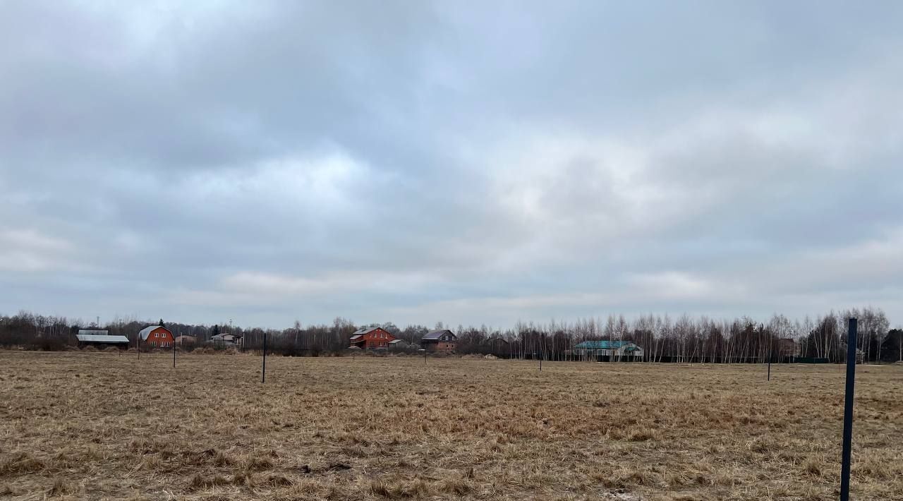 земля городской округ Орехово-Зуевский д Дровосеки Дачная тер фото 1