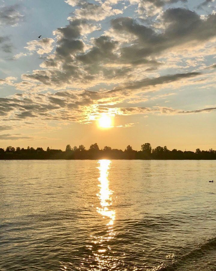 квартира р-н Всеволожский Свердловское городское поселение, городской пос. имени Свердлова, Западный пр., 15к 2, Свердлова фото 1