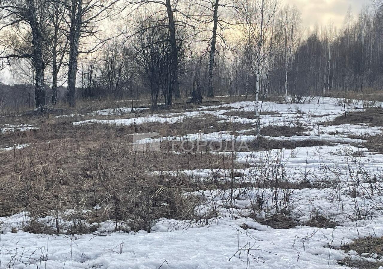 земля р-н Новосибирский п Каменушка Барышевский сельсовет, Новосибирск фото 2