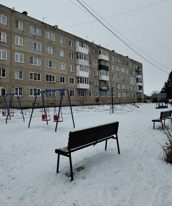 квартира р-н Богородский Парк Культуры, сельский посёлок Буревестник, Полевая улица, 9 фото 18