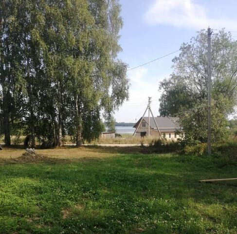 д Зорино Белозерский муниципальный округ фото