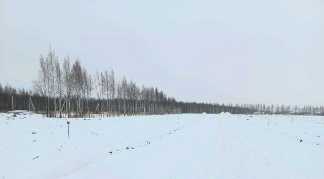 Бугровское городское поселение, Парнас фото