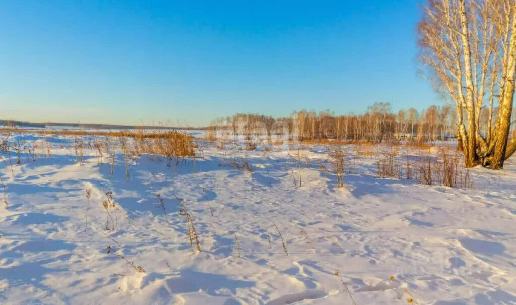 земля р-н Красноармейский с Харино Миасское сельское поселение фото 1