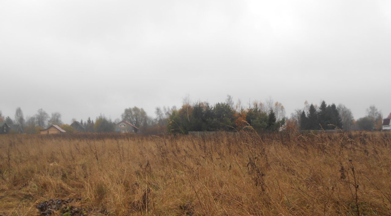 земля городской округ Шаховская д Лукошкино ул Центральная фото 1