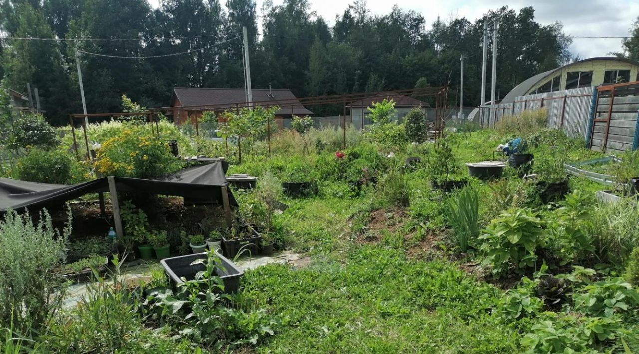 земля городской округ Пушкинский д Бортнево тер Бортневские дачи ул. Вишневая фото 3