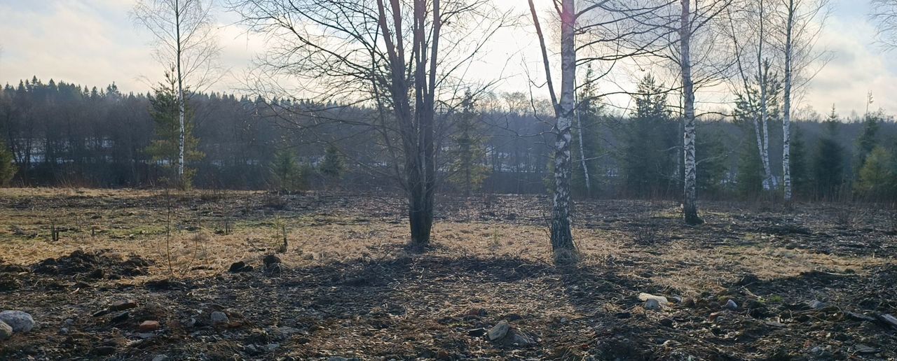 земля городской округ Клин д Покров 58 км, Клин, Ленинградское шоссе фото 3