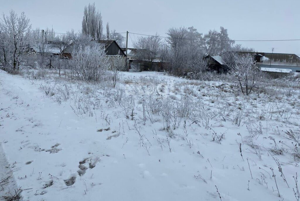 земля р-н Семилукский с Медвежье ул Молодежная фото 6