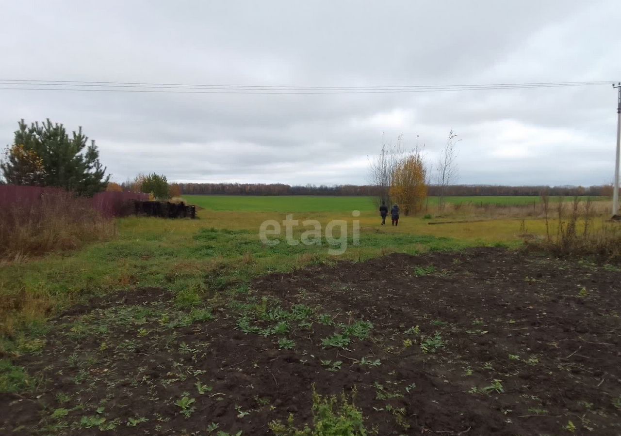 земля р-н Муромский с Ковардицы ул Вишневая 41 округ Муром, Муром фото 9