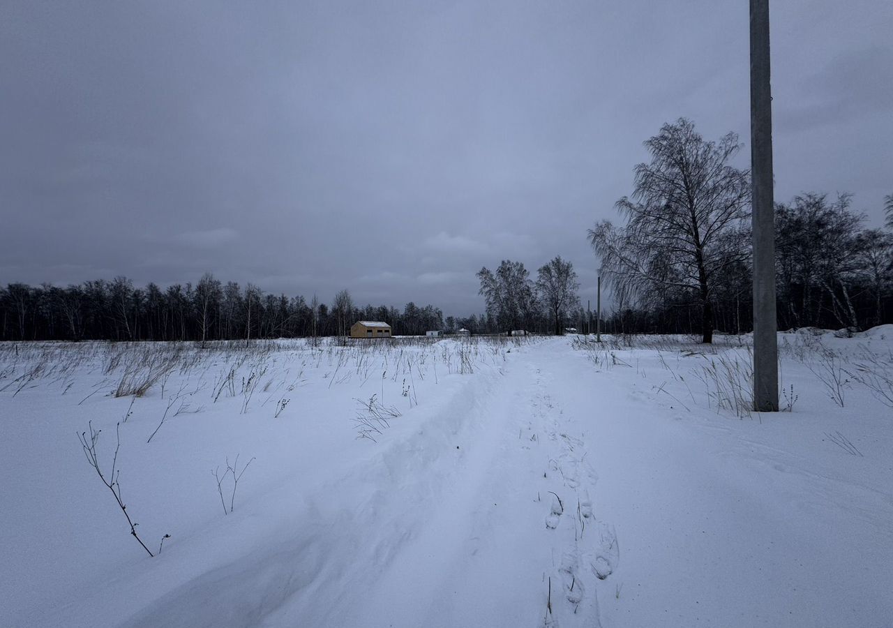 земля р-н Новосибирский с Толмачево ул Центральная Толмачёвский сельсовет, коттеджный пос. Богатырь фото 6