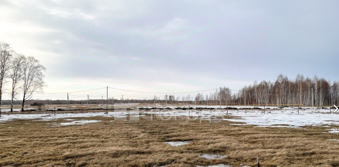 земля р-н Новосибирский с Марусино Криводановский сельсовет, ул. Васильковая фото 2