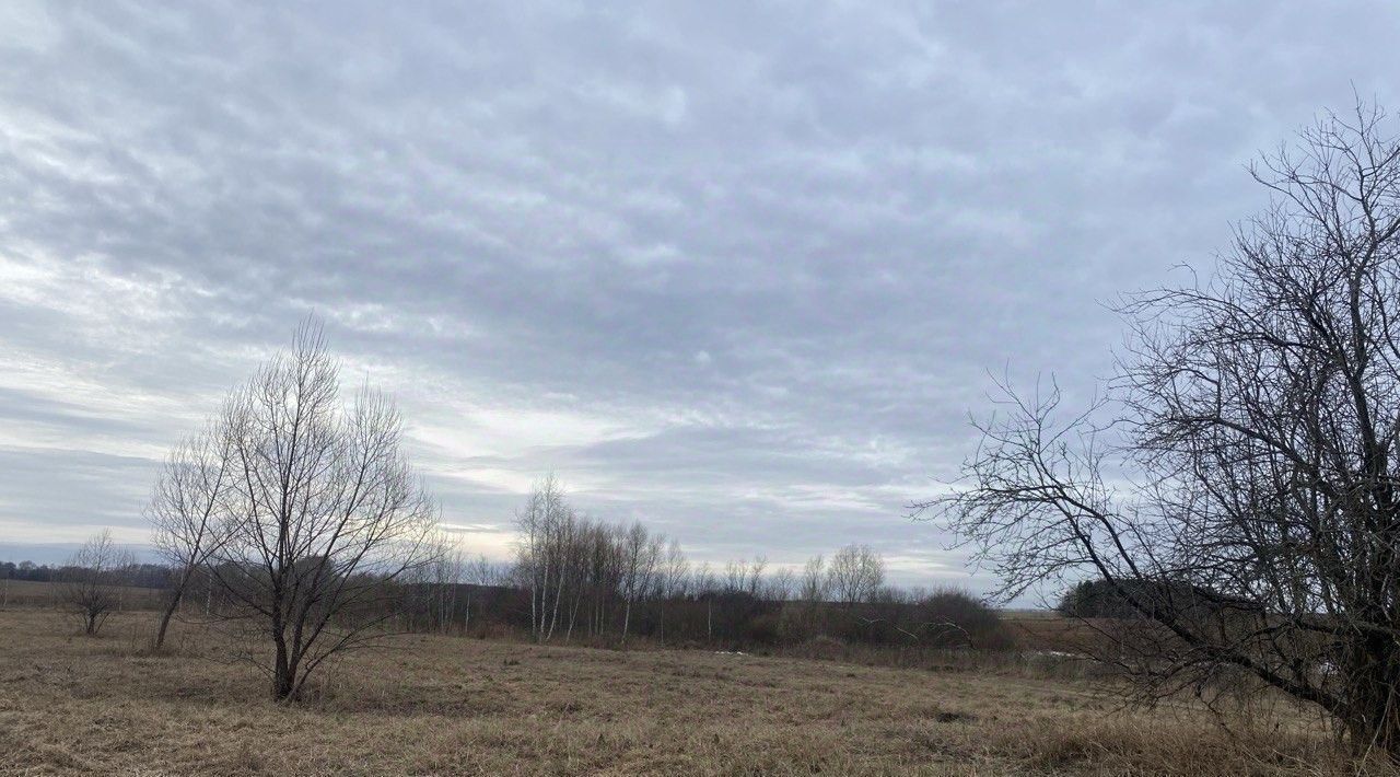 земля городской округ Серебряные Пруды д Беззубово фото 2