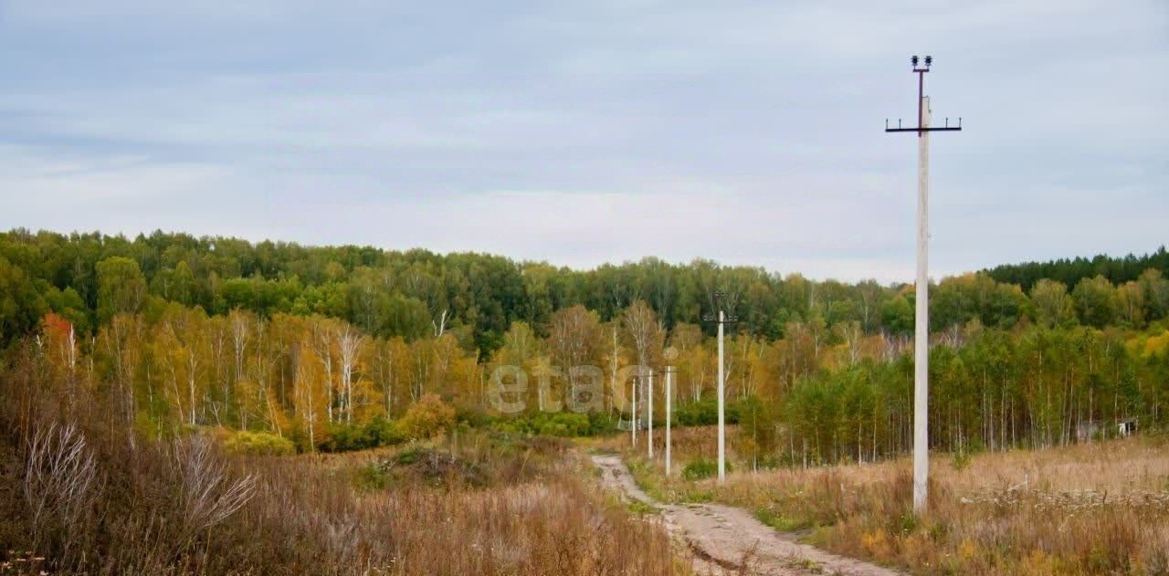 земля р-н Новосибирский снт Кукушкино ул Вишнёвая 14 Станционный сельсовет фото 3