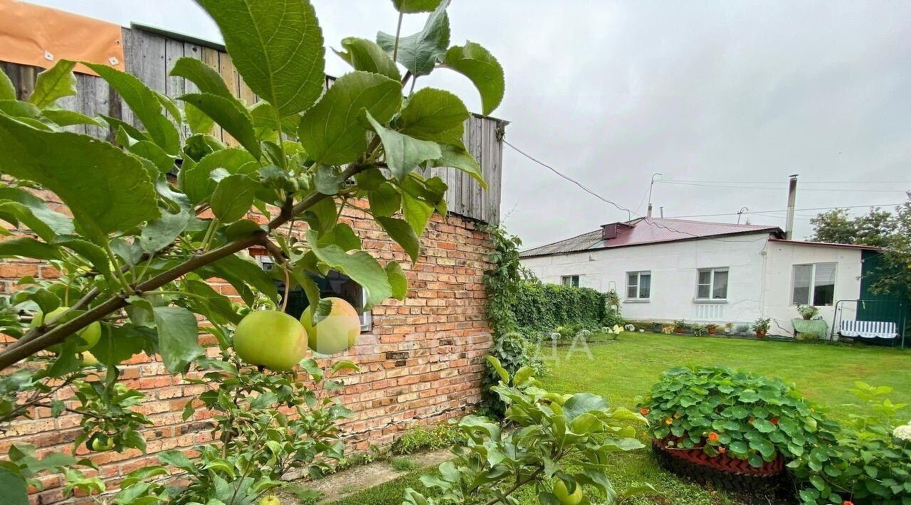 дом р-н Колыванский д Воробьево ул Молодежная 7 фото 30