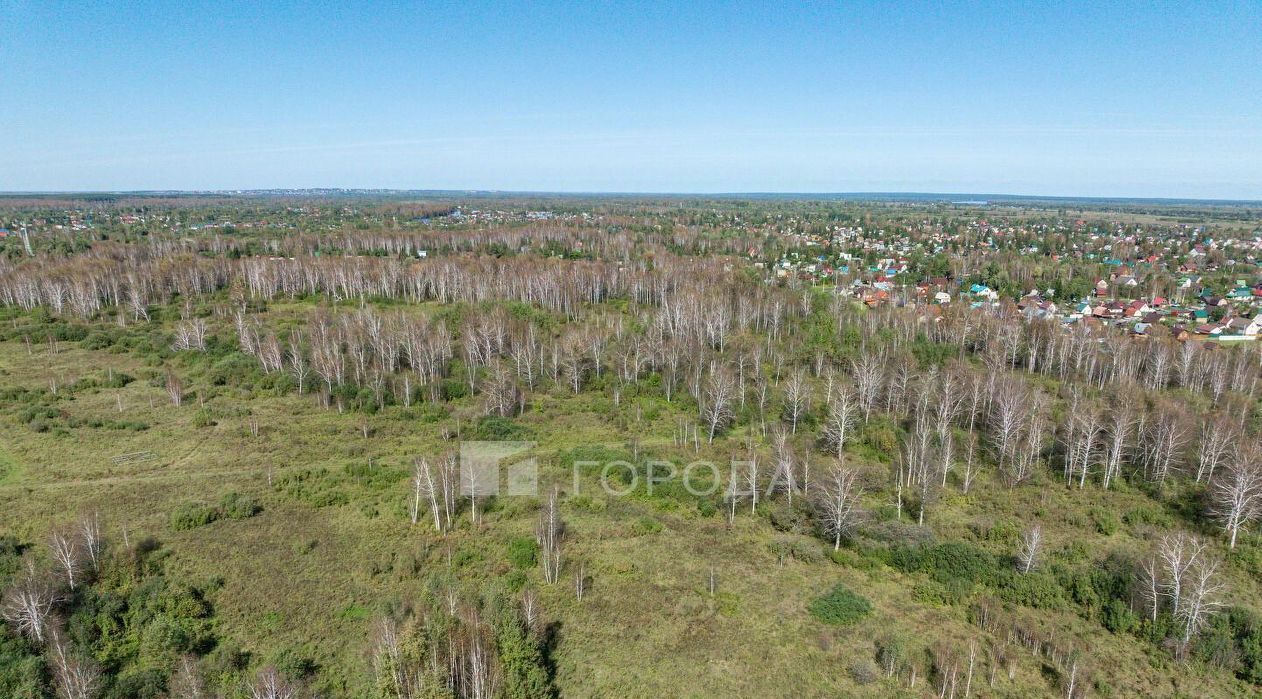 земля ДНТ, Коченевский район, Волна, ул. Весенняя фото 20