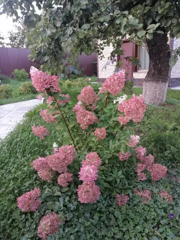 дом городской округ Коломенский д Лыково ул Дорожная 10а Коломна фото 29