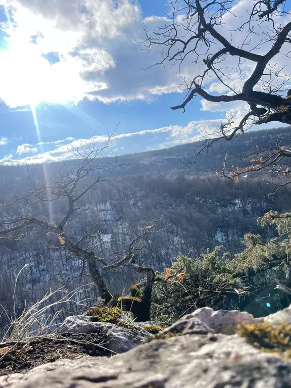 дом г Майкоп х Веселый - улица, б/н фото 15