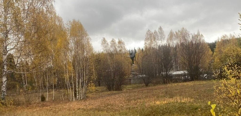 земля р-н Пригородный п Черноисточинск фото 1