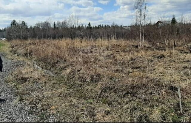 снт тер.N2 ОАО Тагилстрой Невьянский муниципальный округ фото