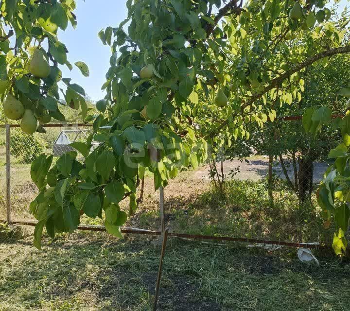 земля городской округ Ставрополь, садовое товарищество Земляне, 267 фото 3