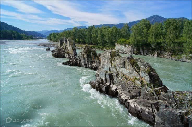 земля р-н Чемальский с. Чемал фото 3