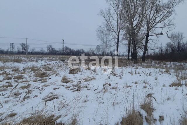 д. Ермолаево фото