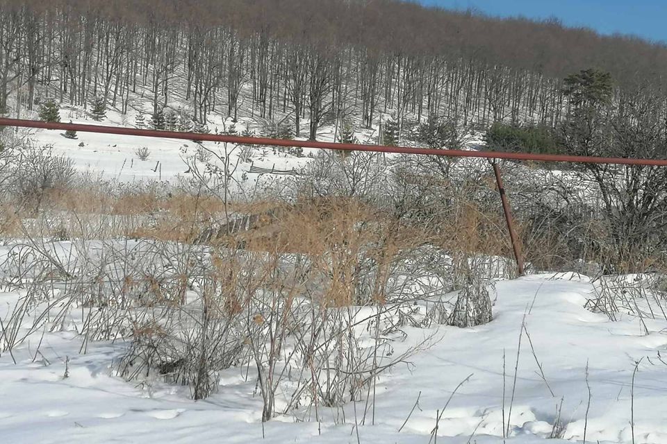 земля р-н Лунинский с Большой Вьяс ул Первомайская фото 4