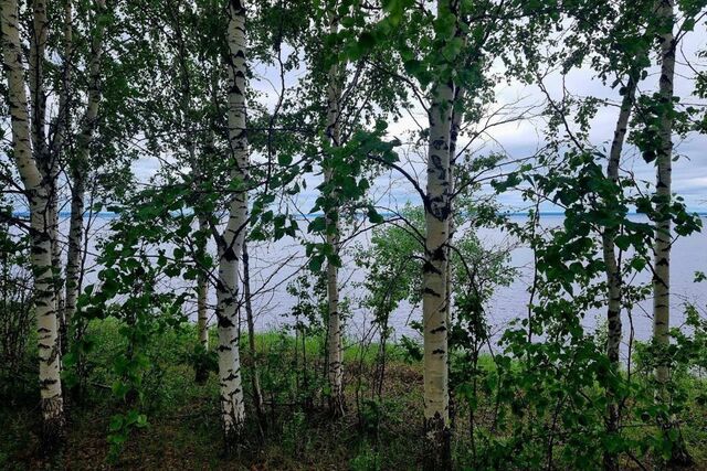 Добрянский городской округ, Добрянка фото