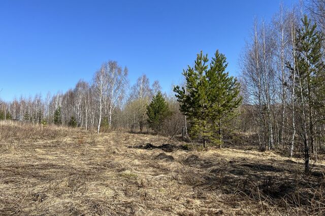 ул Зеленая 45 Дегтярск городской округ фото