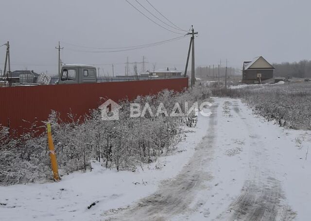 д. Крутые Выселки фото