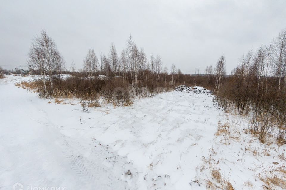 земля г Тюмень Тюмень городской округ, СНТ Березняки фото 1