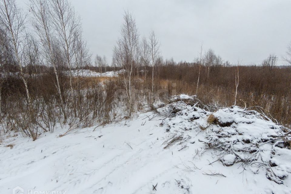 земля г Тюмень сквер Петра Потапова Тюмень городской округ фото 1