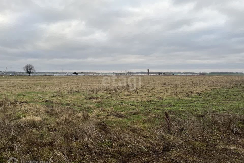 земля р-н Гурьевский фото 5