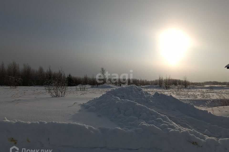 дом г Нижневартовск пер Полевой 20 Нижневартовск городской округ фото 6