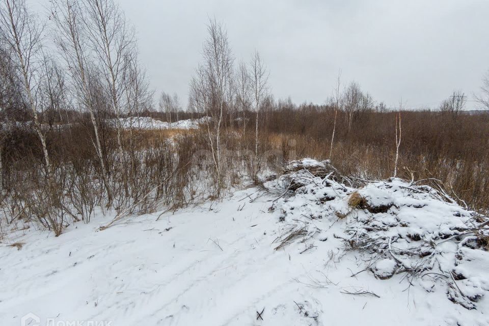 земля г Тюмень Тюмень городской округ, СНТ Березняки фото 6