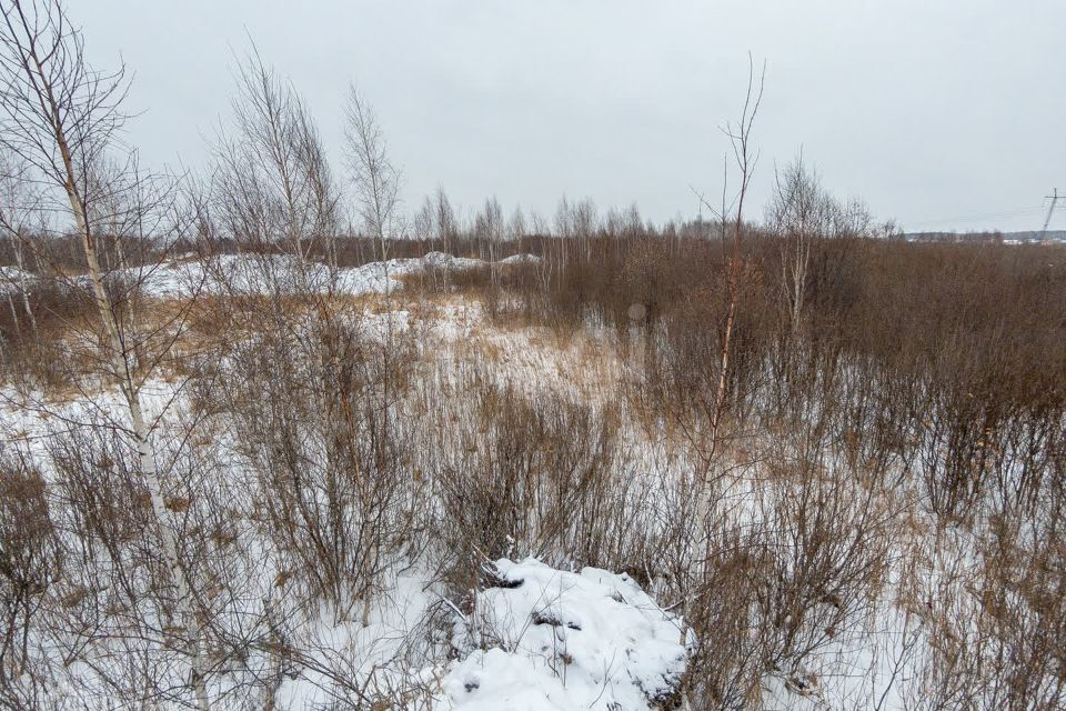 земля г Тюмень Тюмень городской округ, СНТ Березняки фото 8